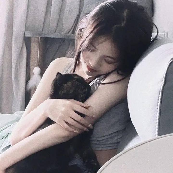 大白鲨2